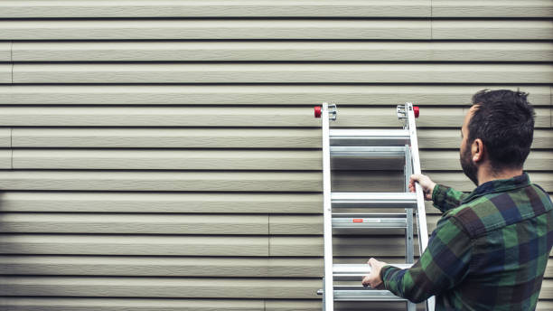 Best Historical Building Siding Restoration  in Mojave, CA