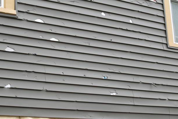 Best Weatherproofing and Sealing  in Mojave, CA