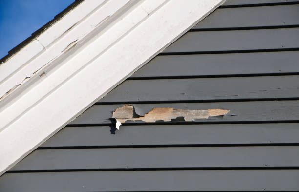 Professional Siding Installation & Repair in Mojave, CA