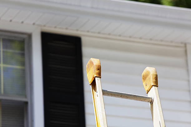 Best Fascia and Soffit Installation  in Mojave, CA
