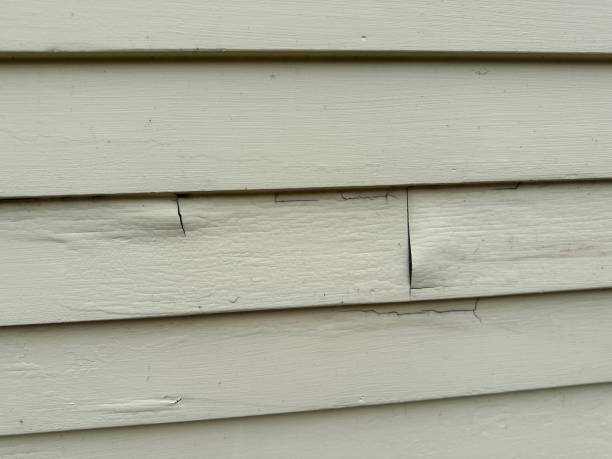 Best Stone Veneer Siding  in Mojave, CA